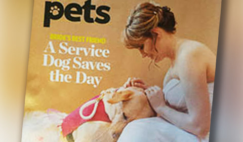 Service Dog Saves The Day